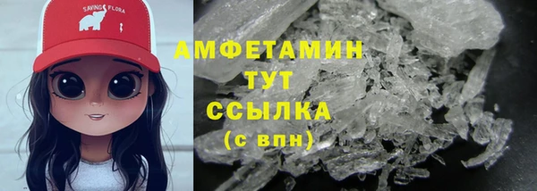 прущие грибы Карталы