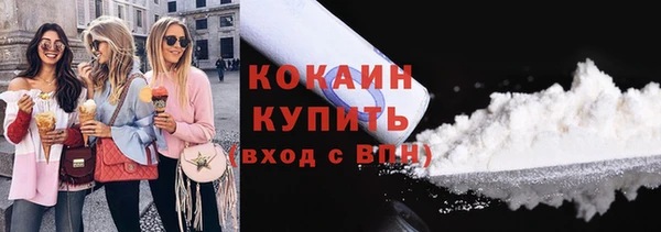 прущие грибы Карталы