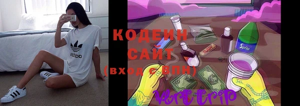 дурь Карпинск