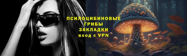 дурь Карпинск