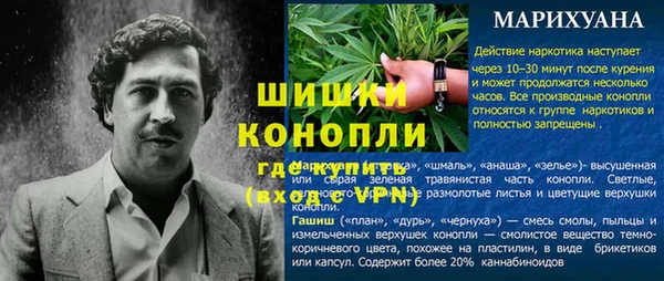 прущие грибы Карталы