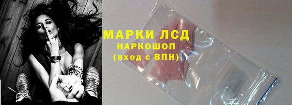 прущие грибы Карталы