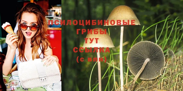 прущие грибы Карталы